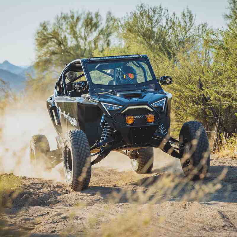 Rockford Fosgate RZR20PRO-RSS