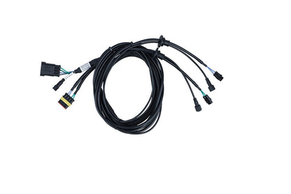 https://www.memphiscaraudio.com/wp-content/uploads/2022/10/021723-HD-Bag-Cables-CAT-002-LR.jpg