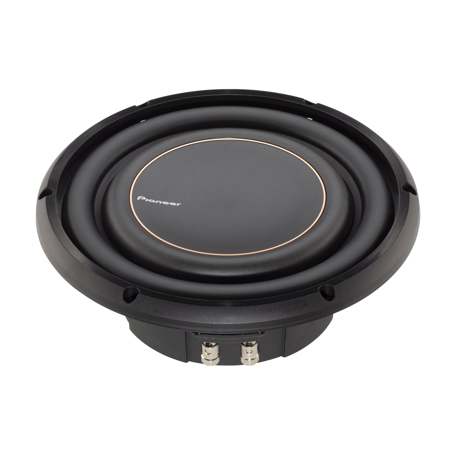 Pioneer TS-D10LS2