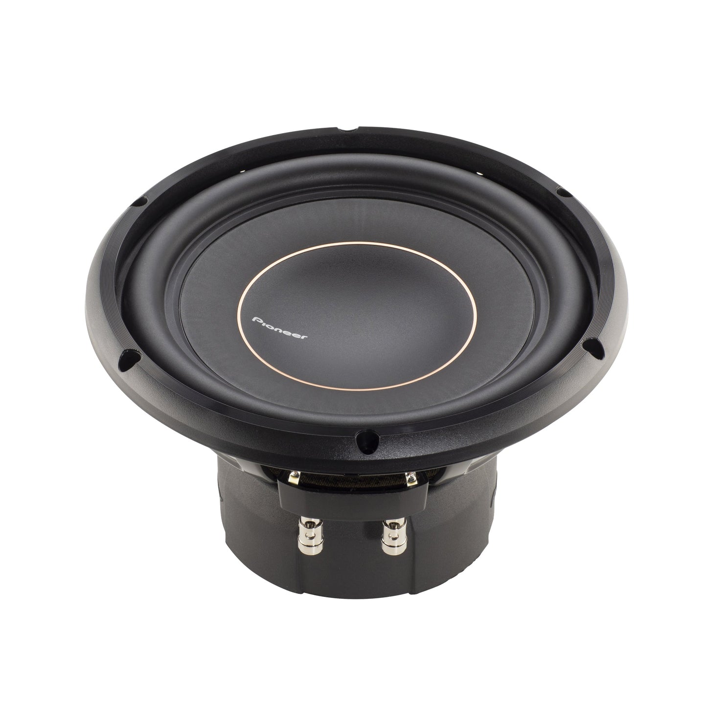 Pioneer TS-D10D2