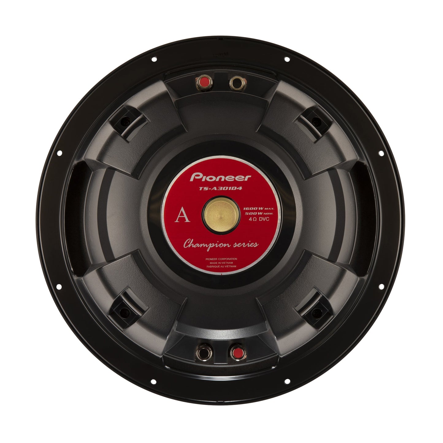 Pioneer TS-A301D4