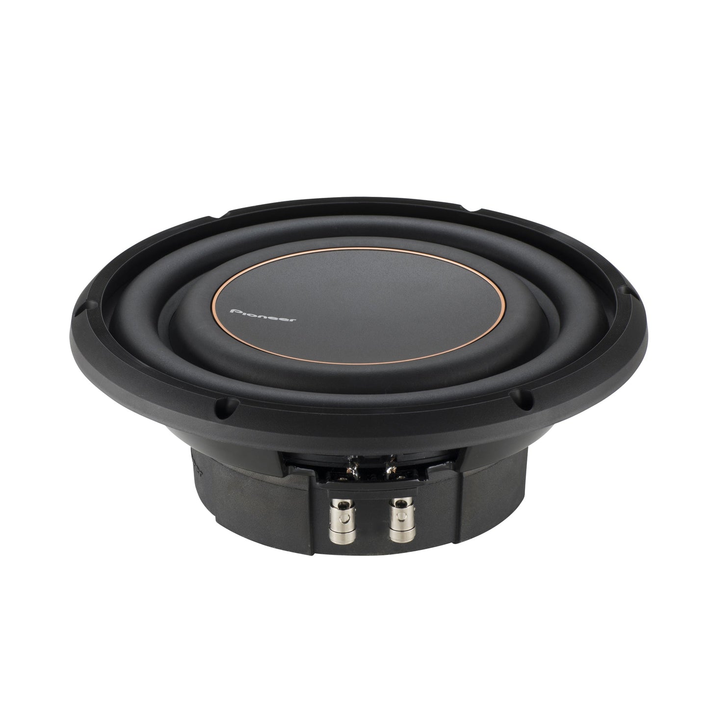 Pioneer TS-D10LS4