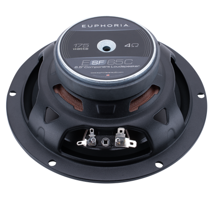 https://cdn.shopify.com/s/files/1/0865/3255/5027/files/ESF65Cloudspeakerbackview.png?v=1747850304