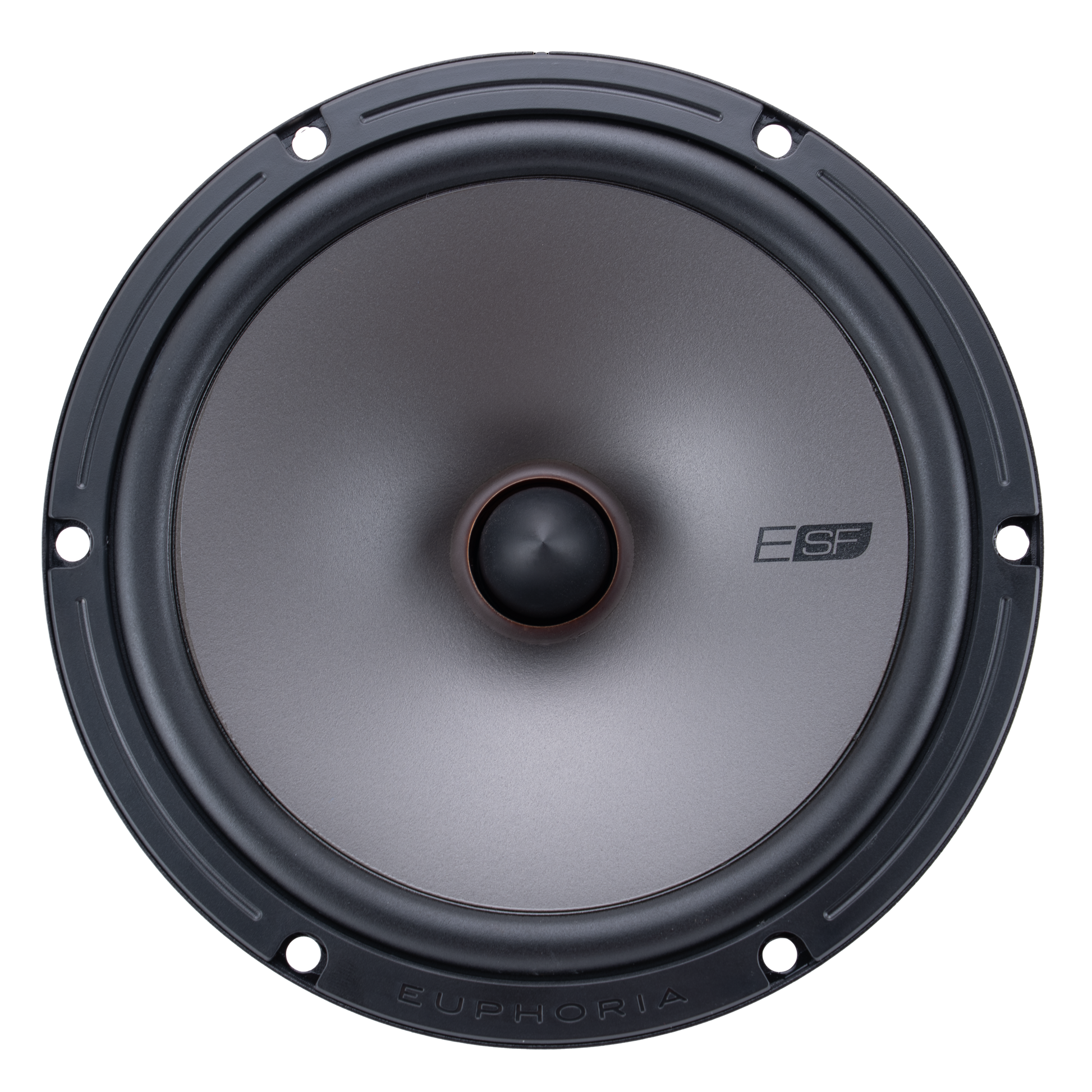 https://cdn.shopify.com/s/files/1/0865/3255/5027/files/ESF65Cloudspeakerfrontviewnogrill.png?v=1747850198