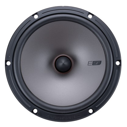 https://cdn.shopify.com/s/files/1/0865/3255/5027/files/ESF65Cloudspeakerfrontviewnogrill.png?v=1747850198