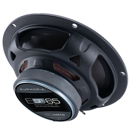 ESF65 : Premium Upgrade 6.5" 2-way loudspeaker (Pair)