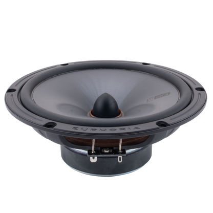 https://cdn.shopify.com/s/files/1/0865/3255/5027/files/ESQ65Cangledsideviewnogrill.png?v=1747419690
