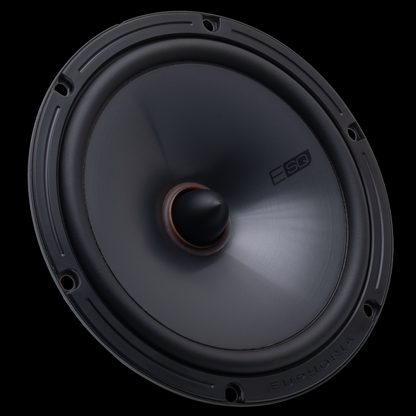 https://cdn.shopify.com/s/files/1/0865/3255/5027/files/ESQ65Cfrontleftviewnogrill.png?v=1747419690