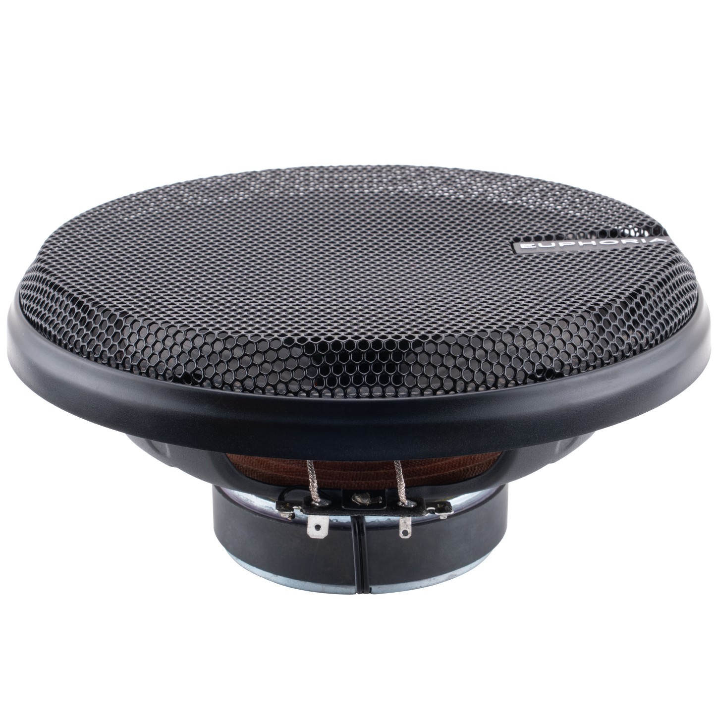 https://cdn.shopify.com/s/files/1/0865/3255/5027/files/ESQ65angledsideviewgrill.png?v=1747406463