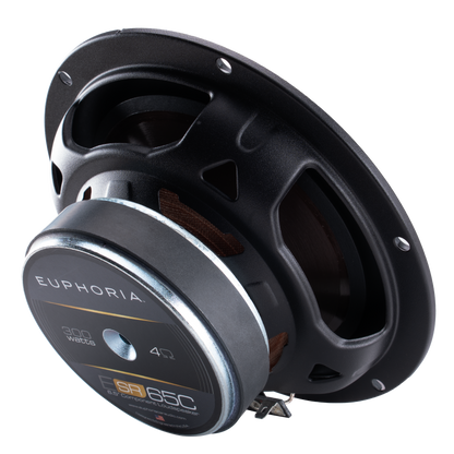 https://cdn.shopify.com/s/files/1/0865/3255/5027/files/ESR65Cloudspeakerbackrightview.png?v=1774467067