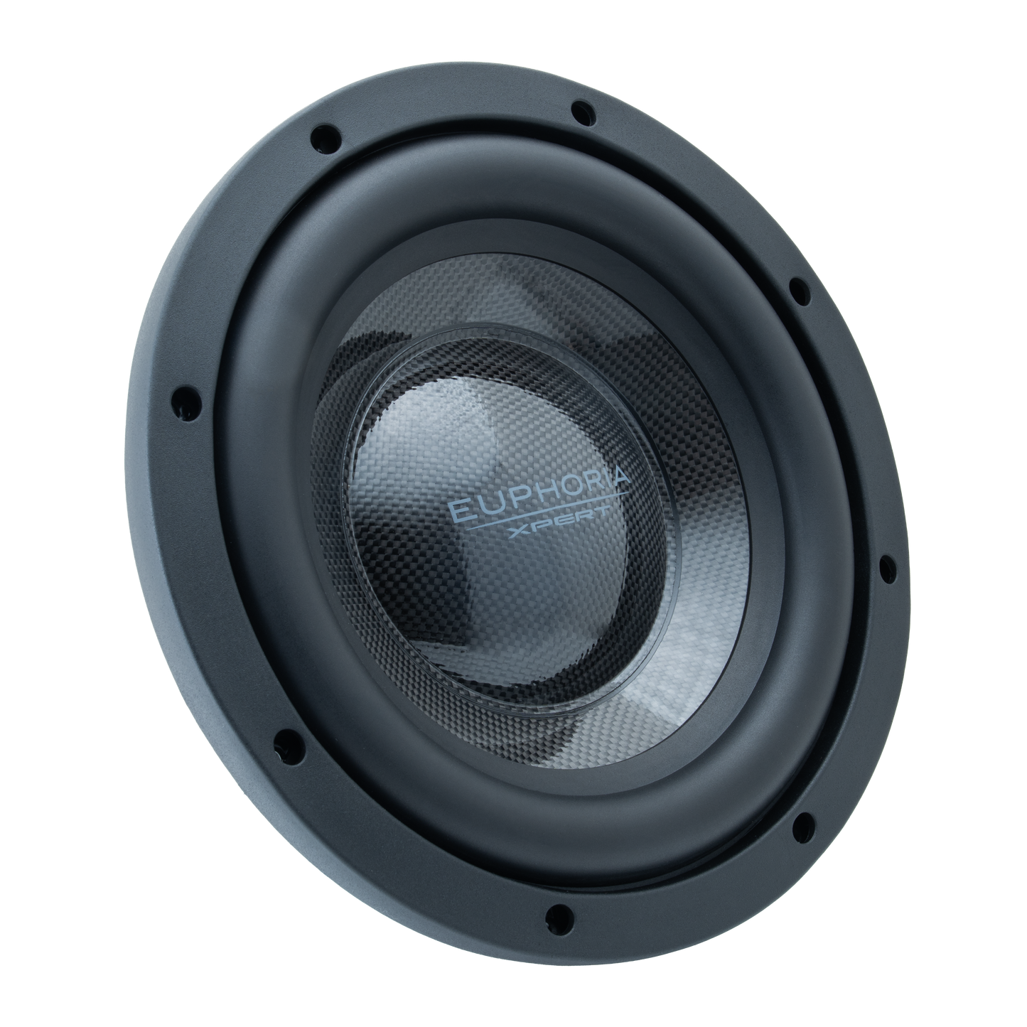 EX10NMB-CFXLV2 : Limited Edition Carbon Fiber 10 in. Midbass
