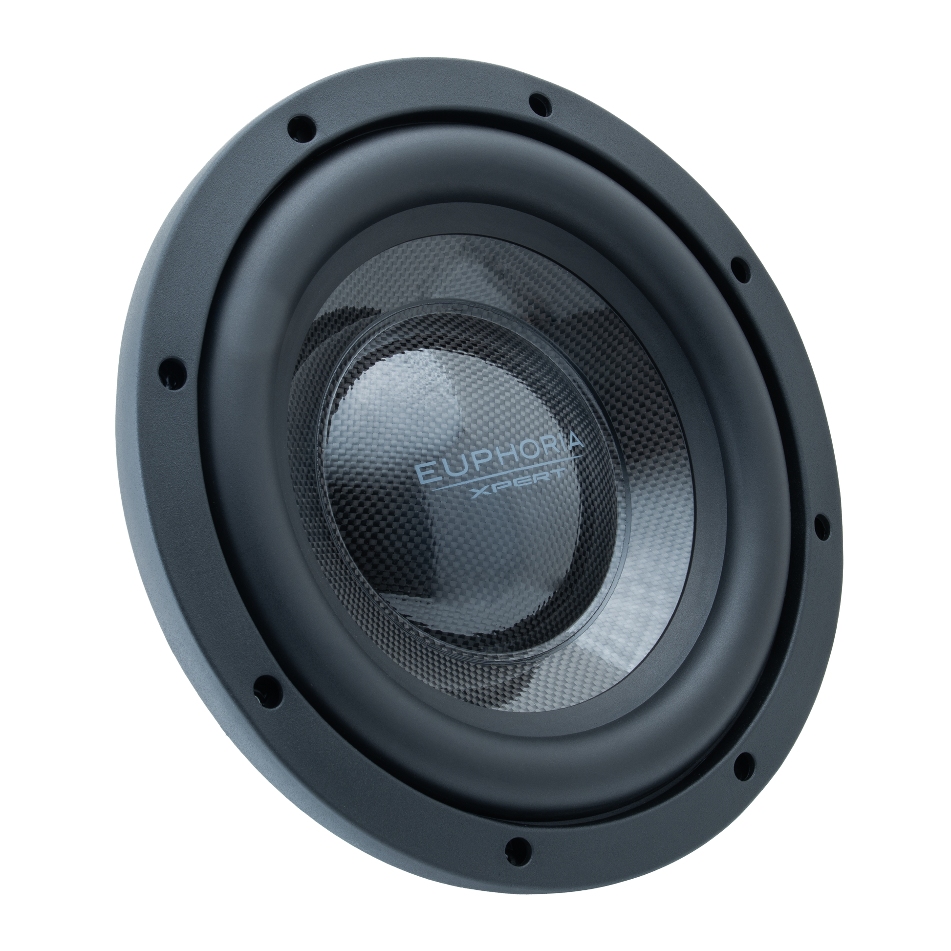 EX10NMB-CFXLV2 : Limited Edition Carbon Fiber 10 in. Midbass