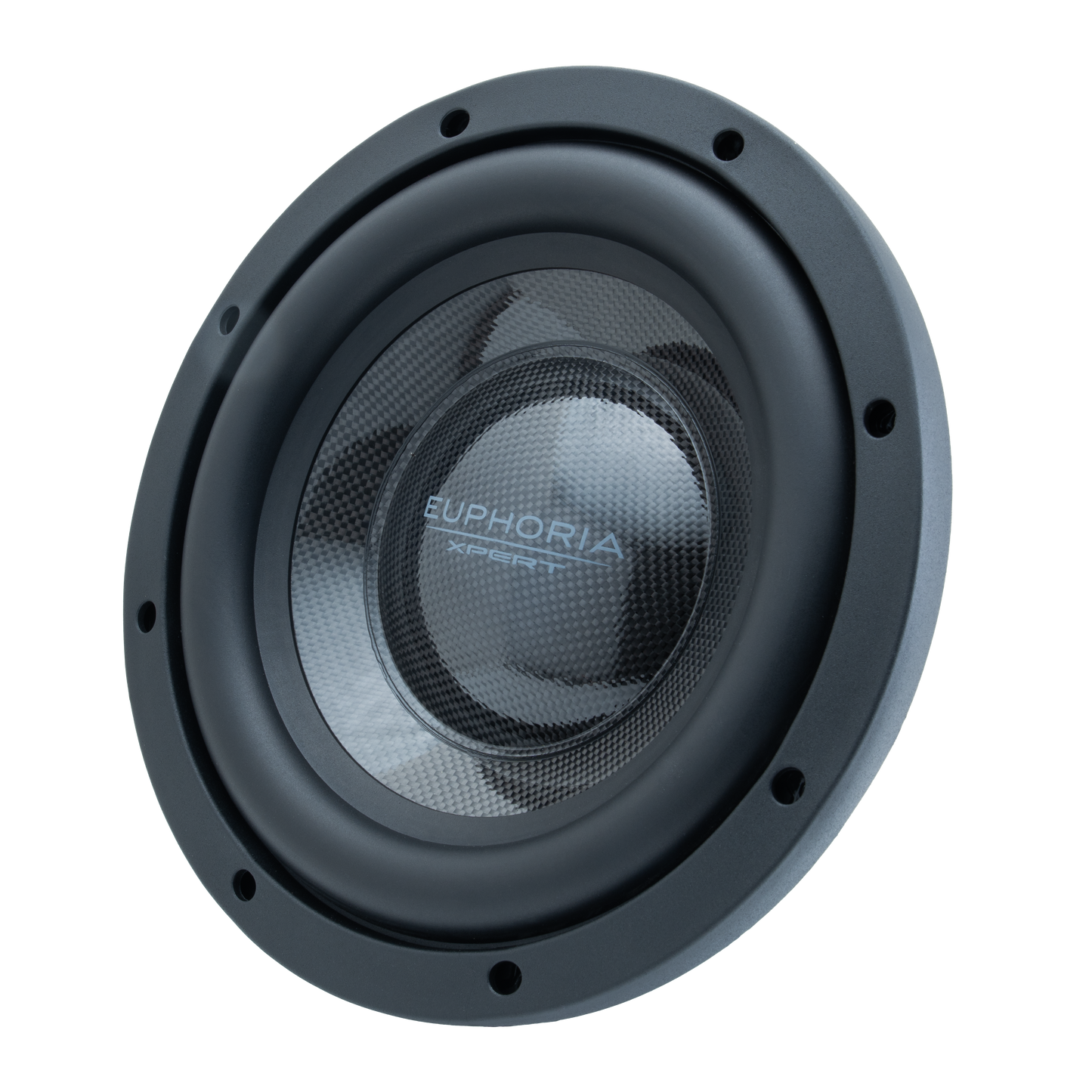 EX10NMB-CFXLV2 : Limited Edition Carbon Fiber 10 in. Midbass