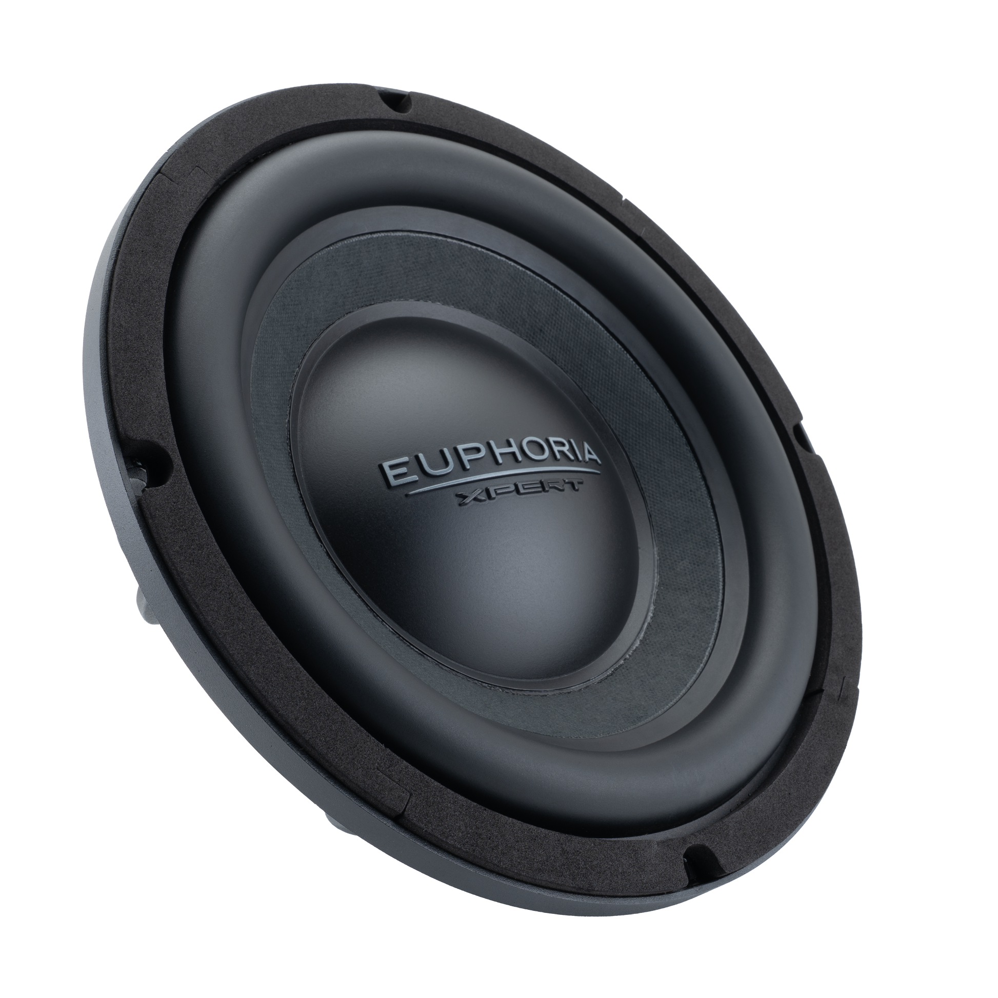 EX10NMB : 10" Die-Cast NEO Midbass