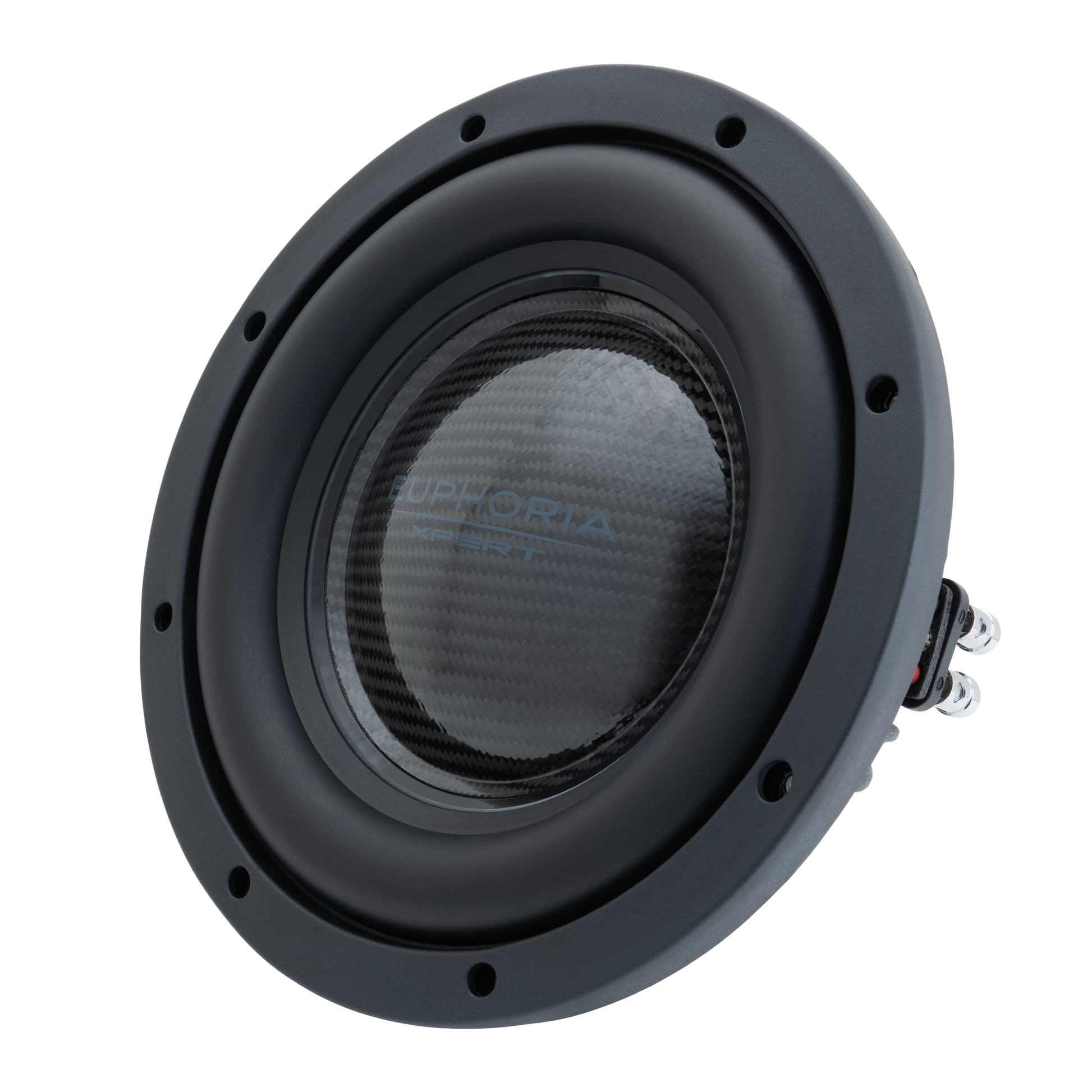 EXFW10NCF : 10 in. NEO Carbon Fiber Shallow Woofer