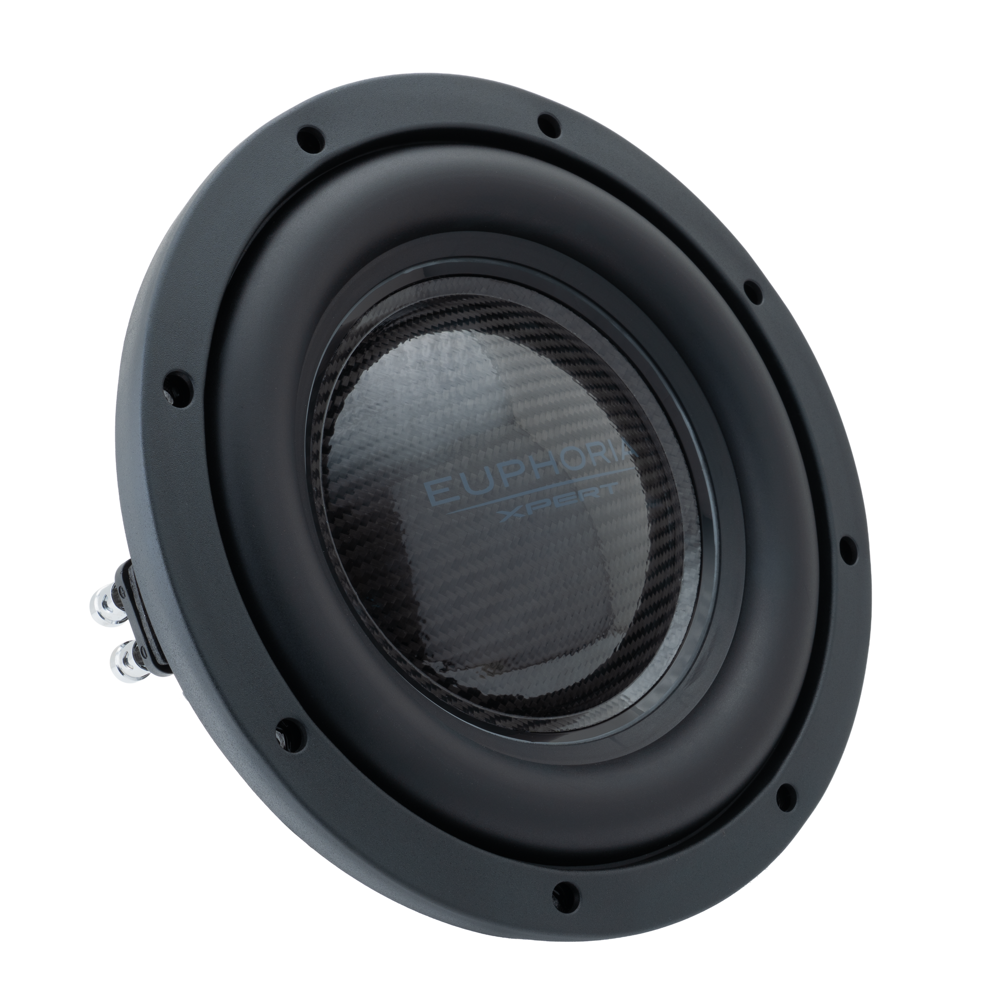 EXFW10NCF : 10 in. NEO Carbon Fiber Shallow Woofer