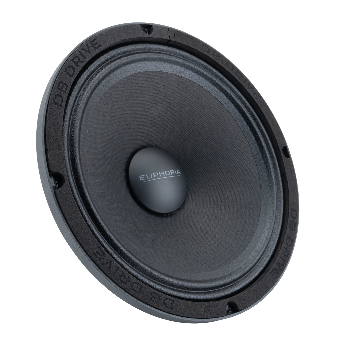 EXM10N : 10 in. NEO Midrange