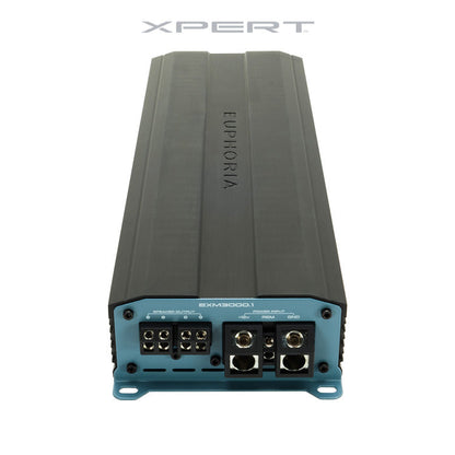 EXM3000.1 : Mono Class D Mini Amplifier