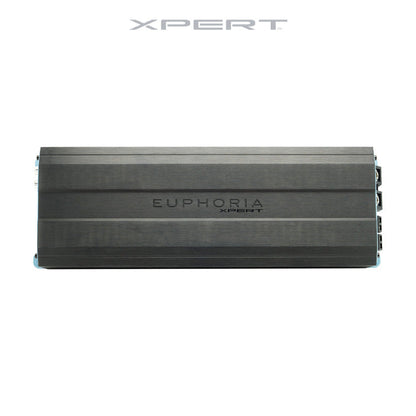 EXM3000.1 : Mono Class D Mini Amplifier