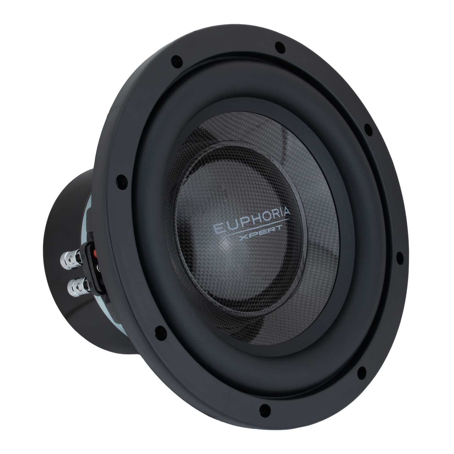 EXW10NCF : 10" NEO Carbon Fiber Woofer