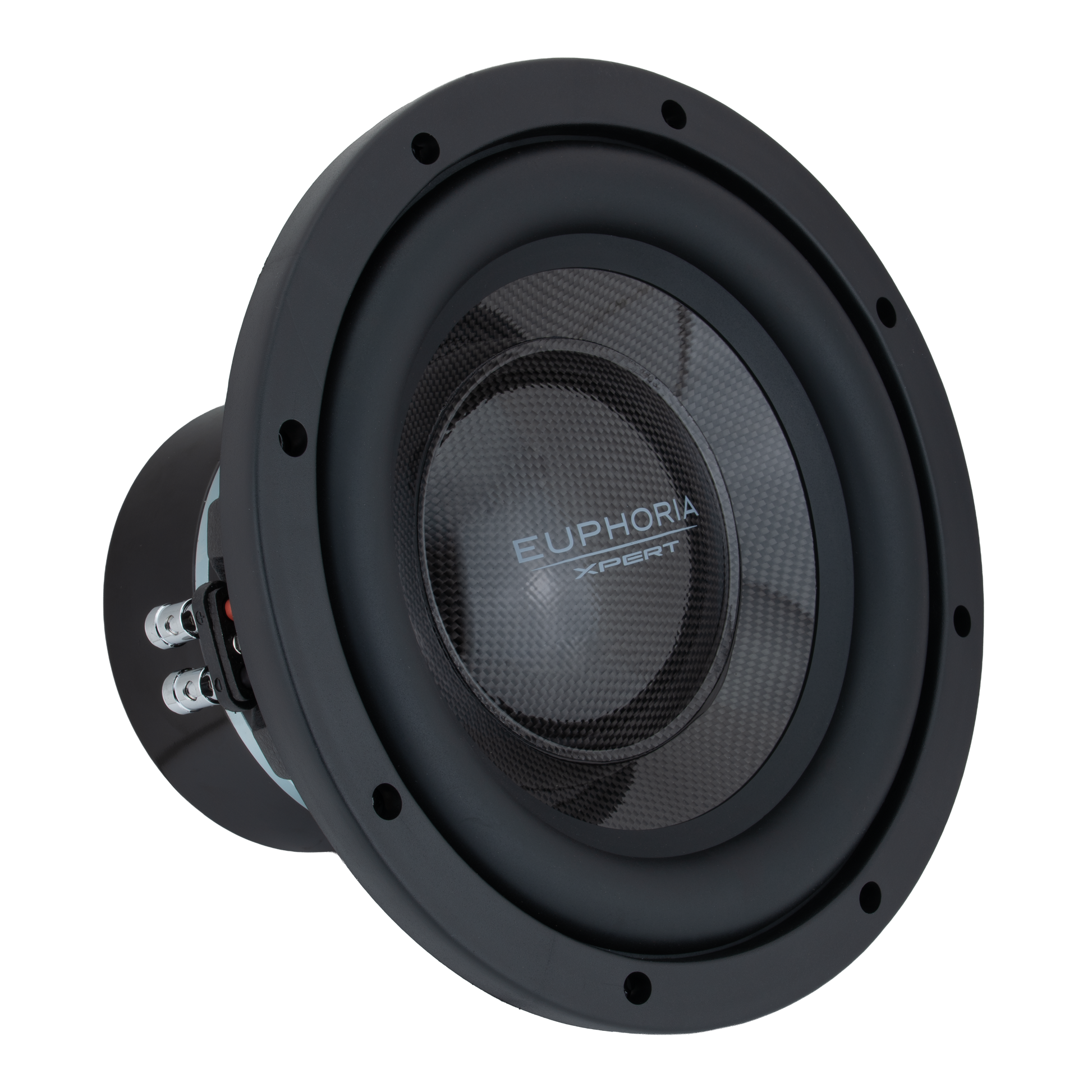 EXW10NCF : 10" NEO Carbon Fiber Woofer