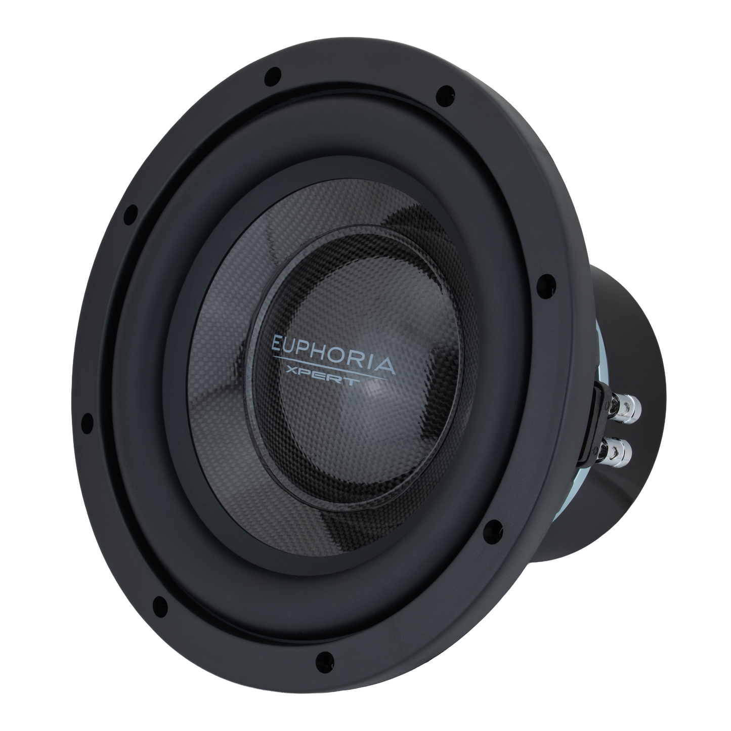 EXW10NCF : 10" NEO Carbon Fiber Woofer