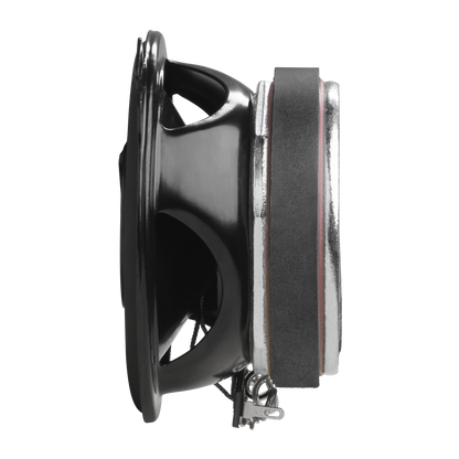 Speaker on