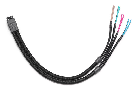 JL Audio VX-OUTHARNESS-SM-8CH-RP