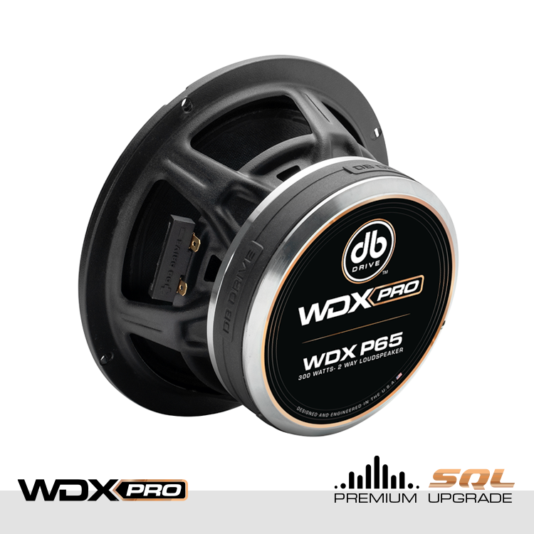DB Drive WDX P65 : WDX PRO 6.5 in. 2-Way Loudspeaker