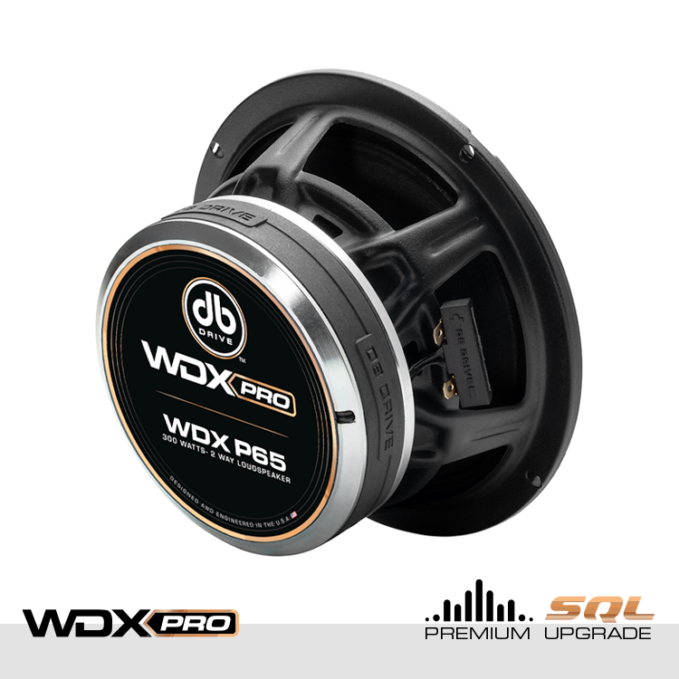 DB Drive WDX P65 : WDX PRO 6.5 in. 2-Way Loudspeaker