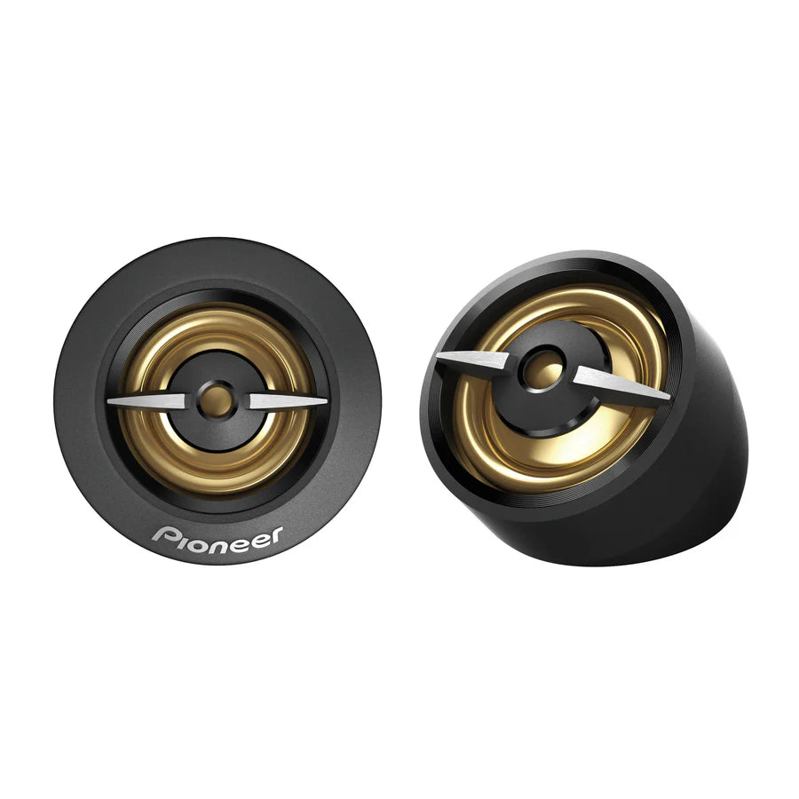 Pioneer TS-A301TW