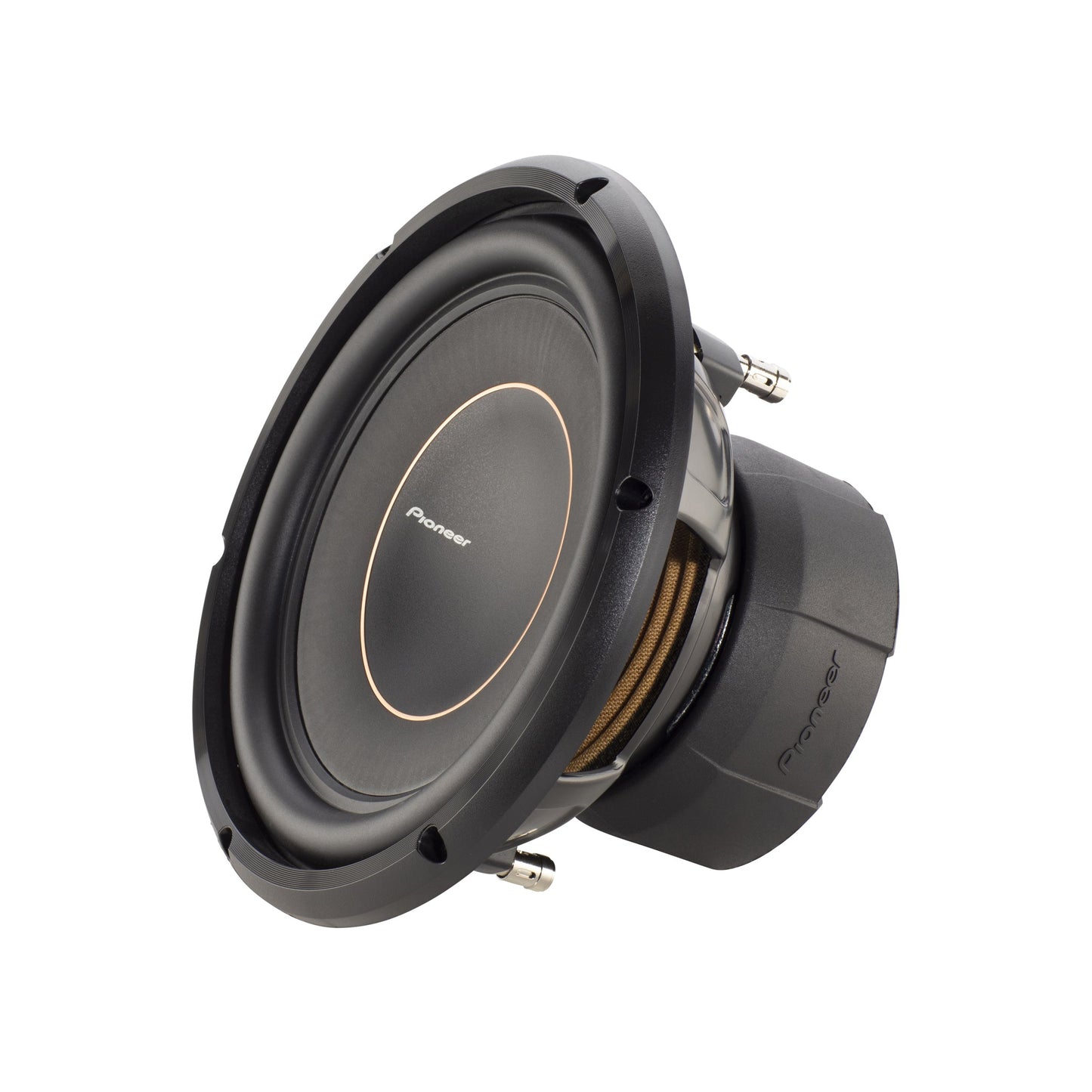 Pioneer TS-D10D2