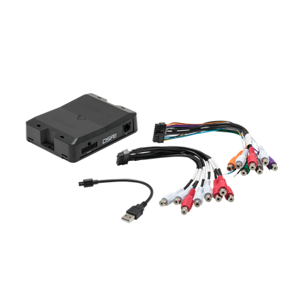 Rockford Fosgate DSR1