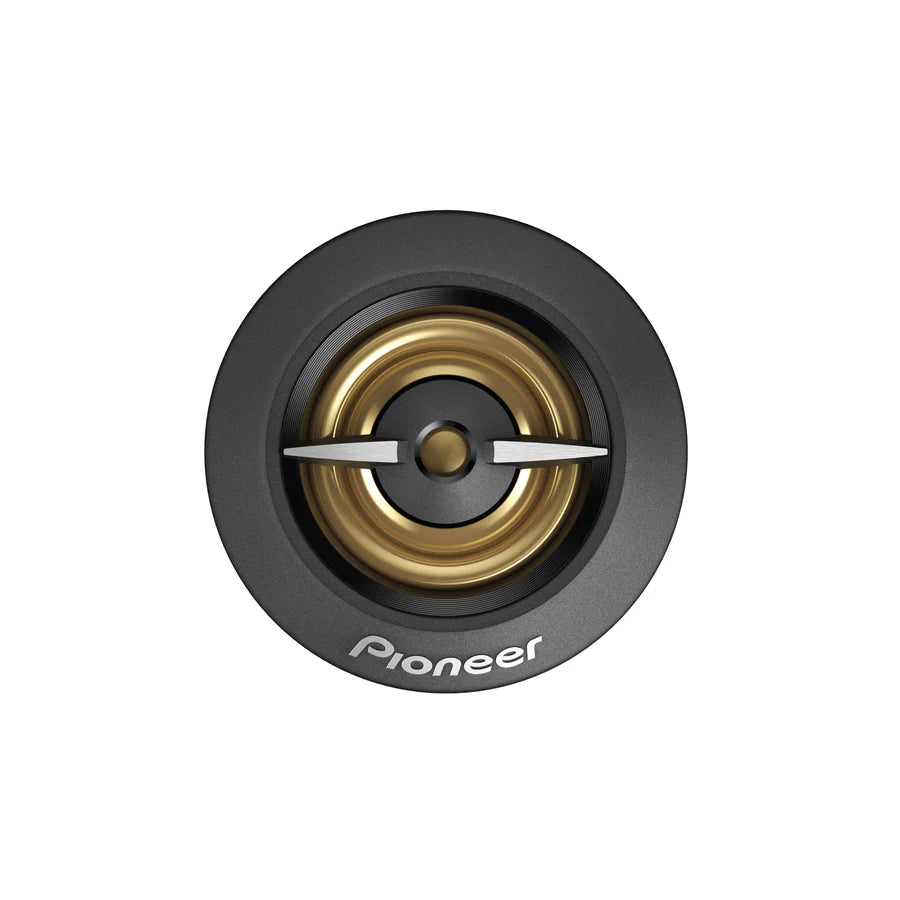 Pioneer TS-A301TW