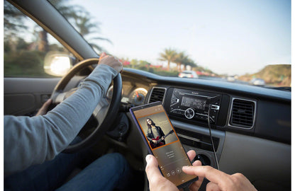 Sony DSX-B700 Double-DIN Bluetooth Car Stereo Receiver with Voice Control