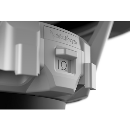 Rockford Fosgate M1D2-10