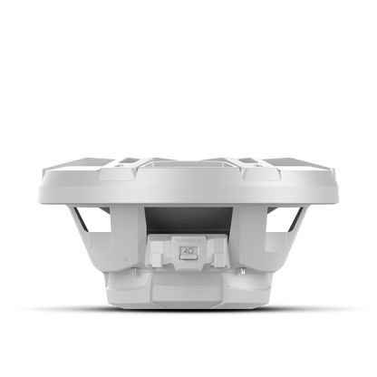 Rockford Fosgate M1D2-12