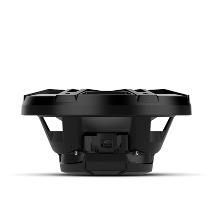 Rockford Fosgate M1D2-12B