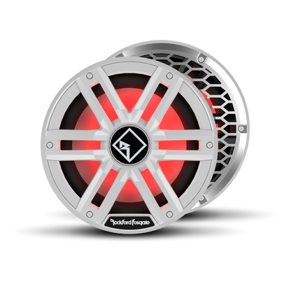 Rockford Fosgate M2D2-10I