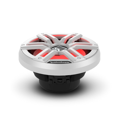 Rockford Fosgate M2D2-10I