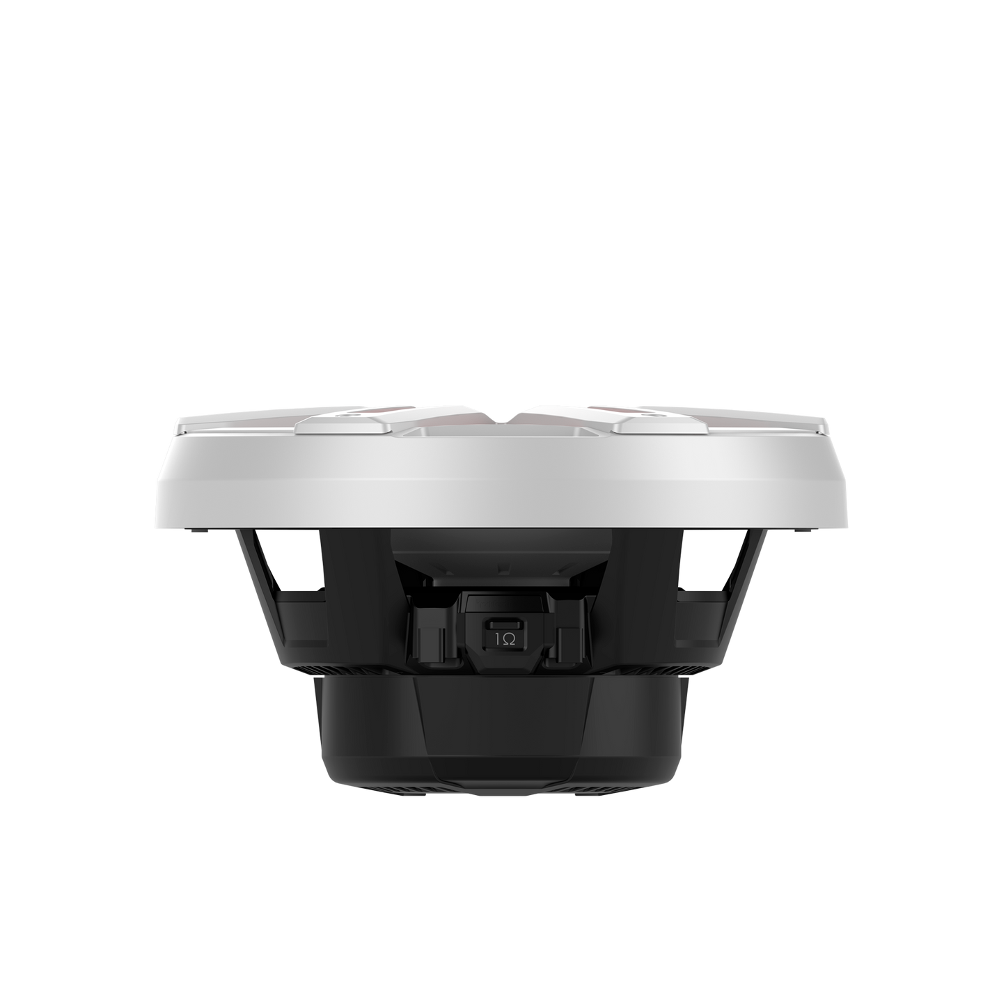 Rockford Fosgate M2D2-10I