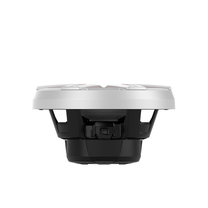 Rockford Fosgate M2D2-10I