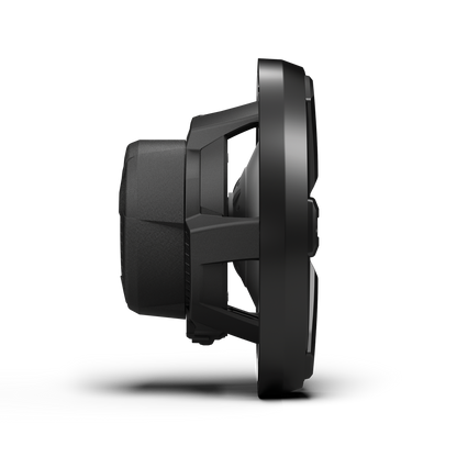 Rockford Fosgate M2D2-10IB-G2