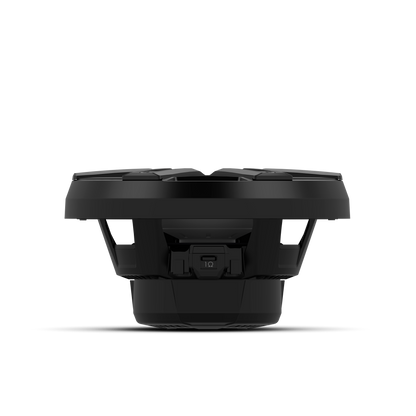 Rockford Fosgate M2D2-10IB