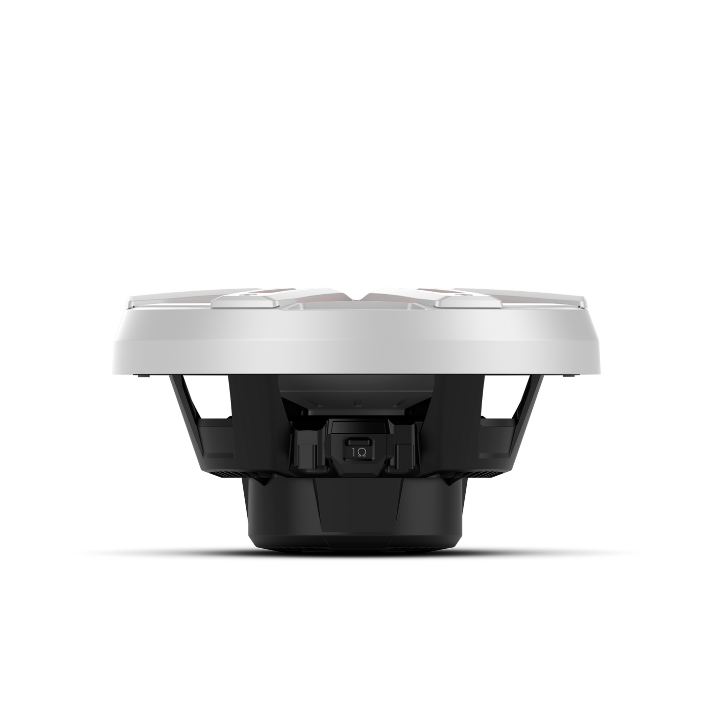 Rockford Fosgate M2D2-10S