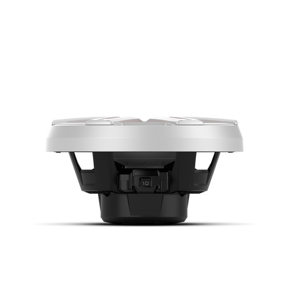 Rockford Fosgate M2D2-10S