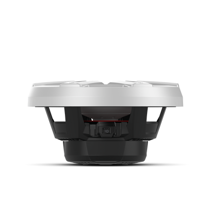 Rockford Fosgate M2D2-12I