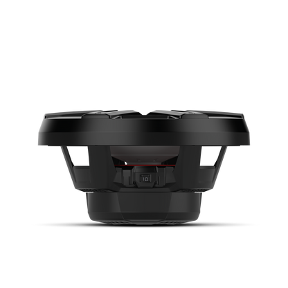 Rockford Fosgate M2D2-12IB