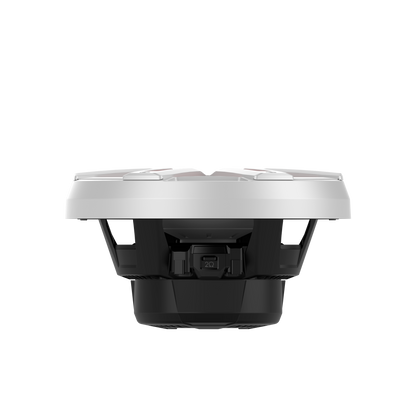 Rockford Fosgate M2D4-10I