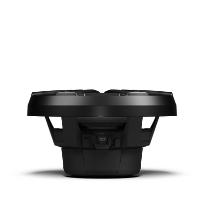 Rockford Fosgate M2D4-10IB-G2